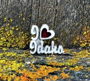 I Heart Idaho Pin