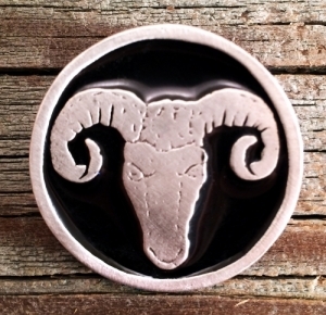 Ram Pin
